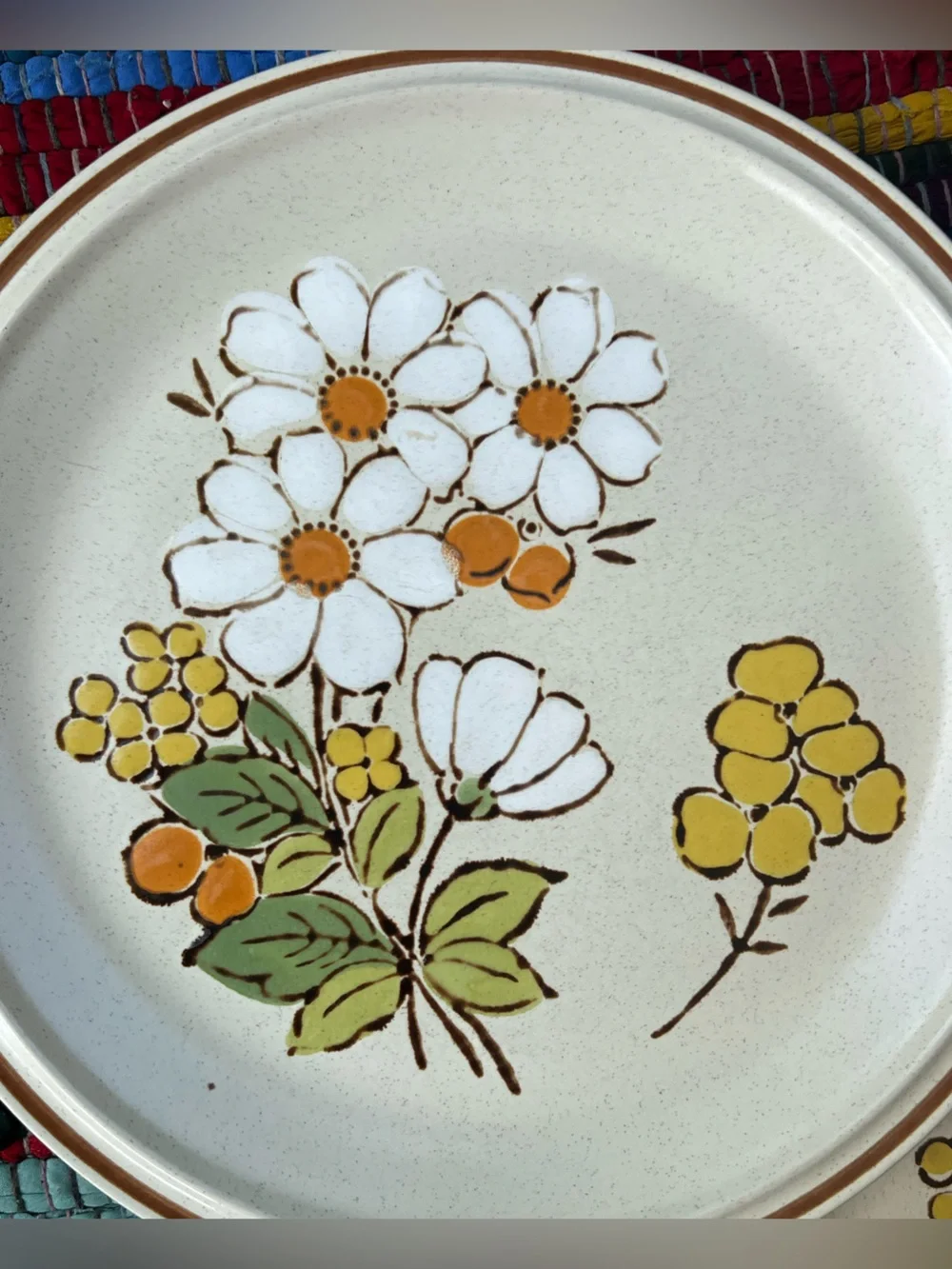 Floral Expressions Hearthside Summertime Dinner Plates Set of 2 Japan Vintage